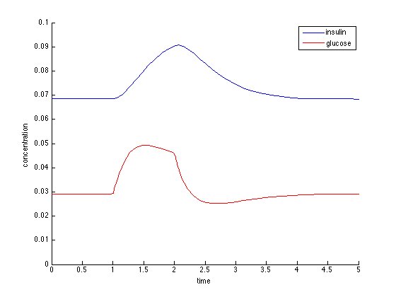simulation of dip enabled LV model of IG dynamics